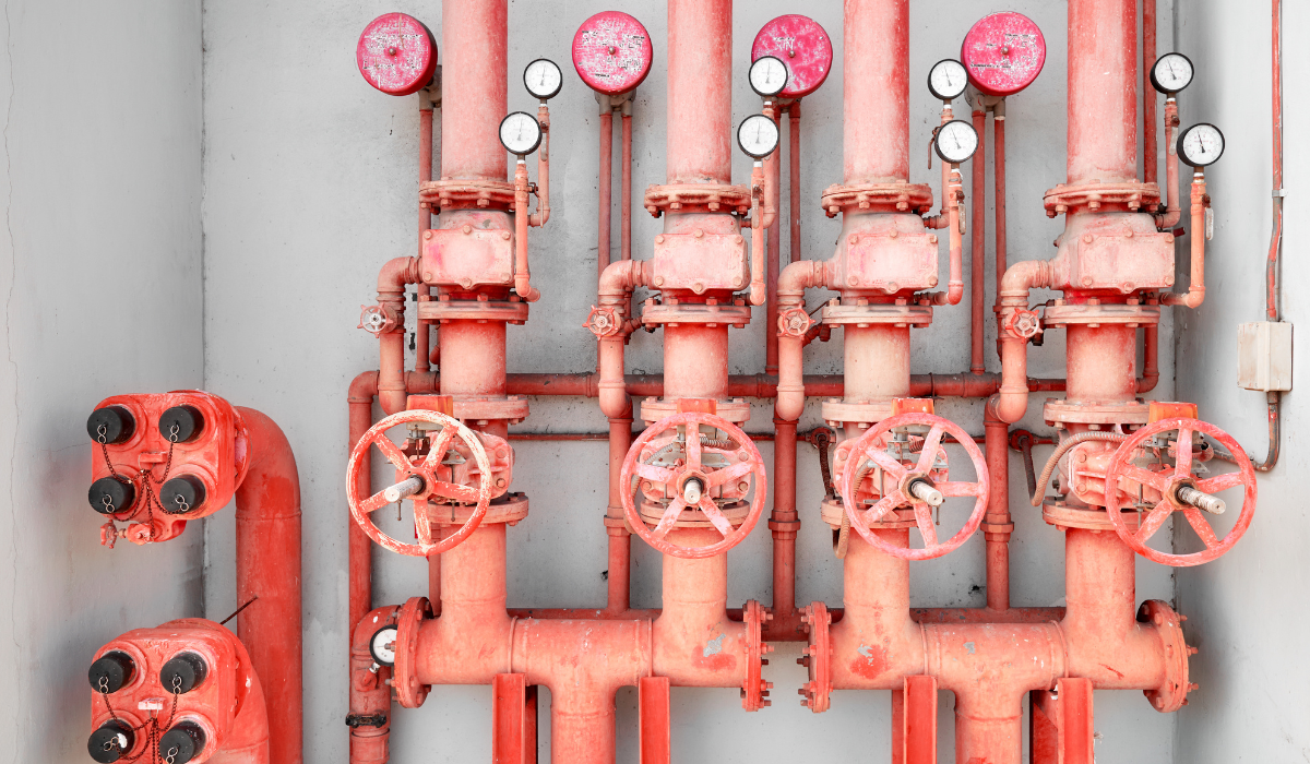 Sprinkler pipes running across a warehouse ceiling — Boss Fire installation in the GTA